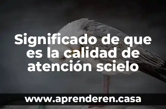 Significado de que es la calidad de atención scielo