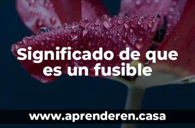 Significado de que es un fusible