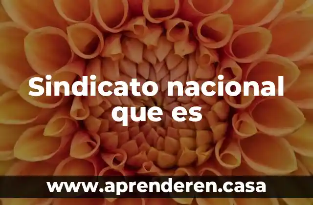 Sindicato nacional que es