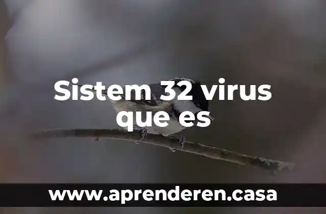 Sistem 32 virus que es