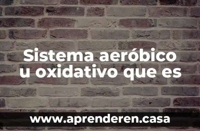 Sistema aeróbico u oxidativo que es