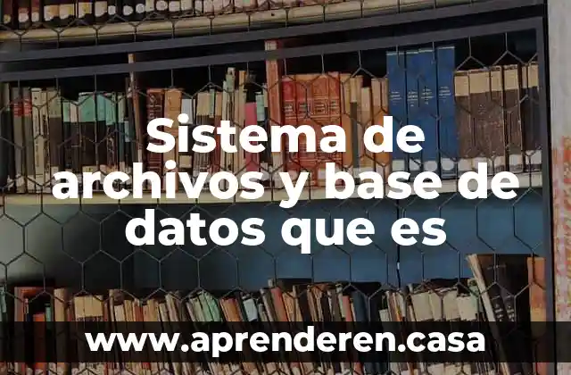 Sistema de archivos y base de datos que es