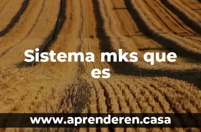 Sistema mks que es