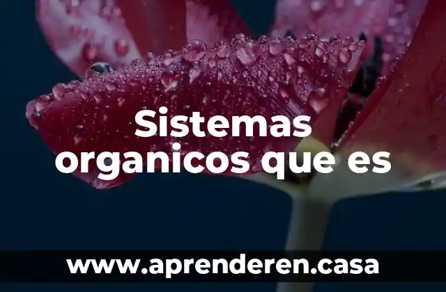 Sistemas organicos que es
