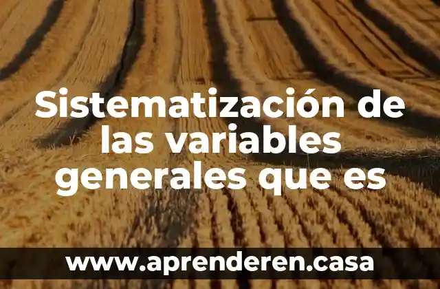 Sistematización de las variables generales que es