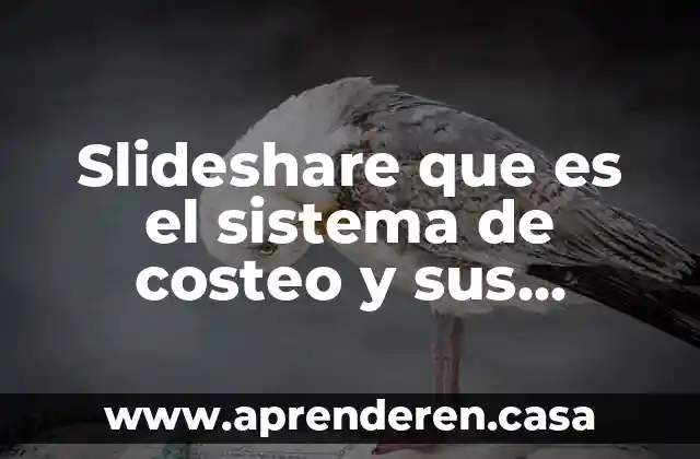 Slideshare que es el sistema de costeo y sus elementos