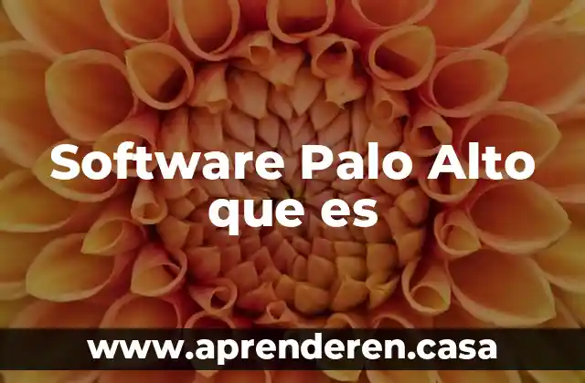 Software Palo Alto que es