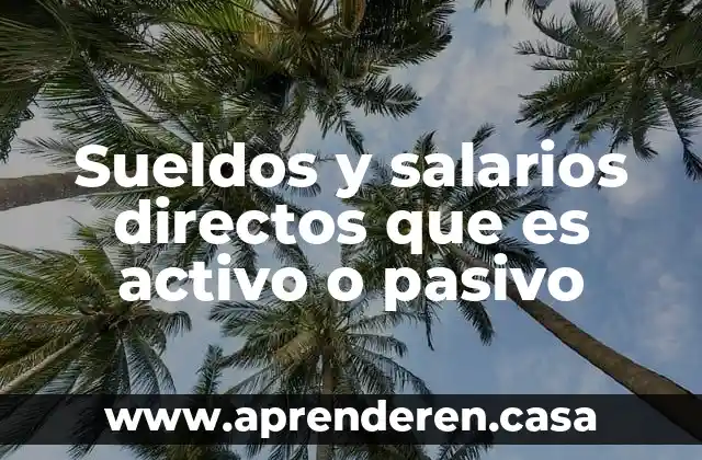 Iva acreditable que es activo o pasivo 5 Sueldos y salarios directos que es activo o pasivo