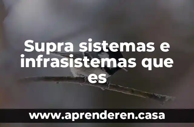 Que es el efecto de la entropia en sistemas 6 Supra sistemas e infrasistemas que es