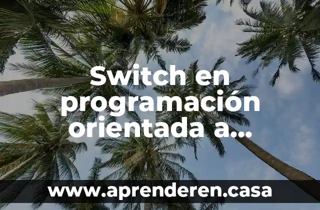 Switch en programación orientada a objetos que es una clase