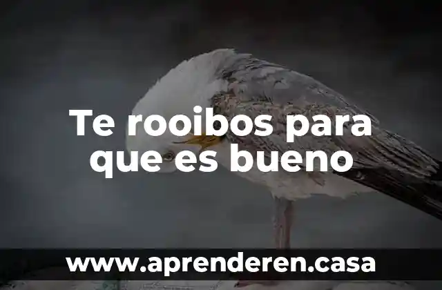Para que es bueno informarse sobre embarazos adolescentes 8 Te rooibos para que es bueno