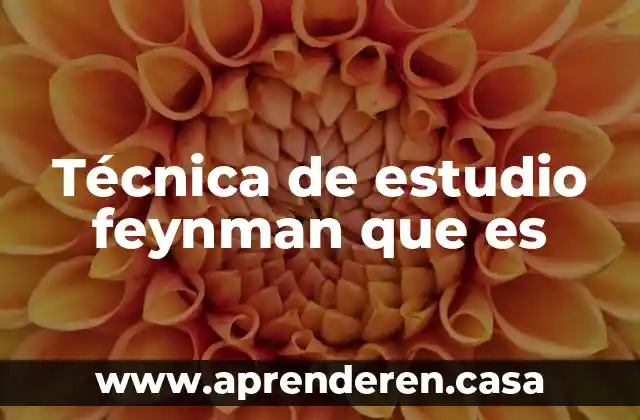 Que es un estudio de inr 7 Técnica de estudio feynman que es