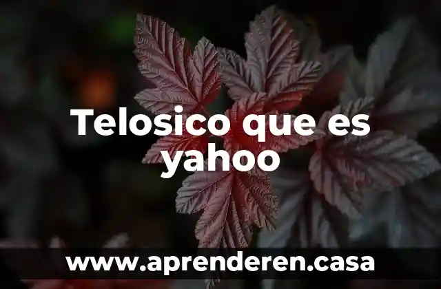 Telosico que es yahoo