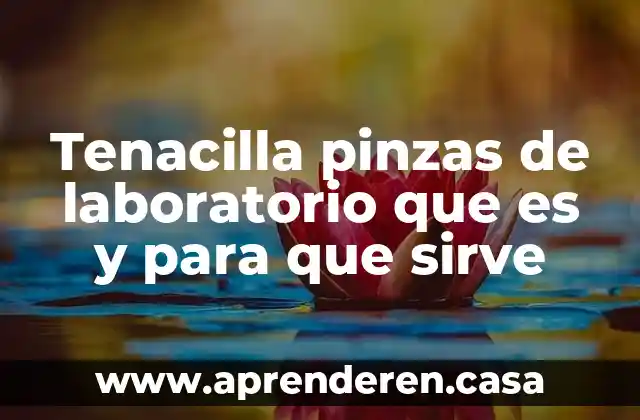 Tenacilla pinzas de laboratorio que es y para que sirve