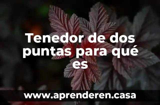 Tenedor de dos puntas para qué es