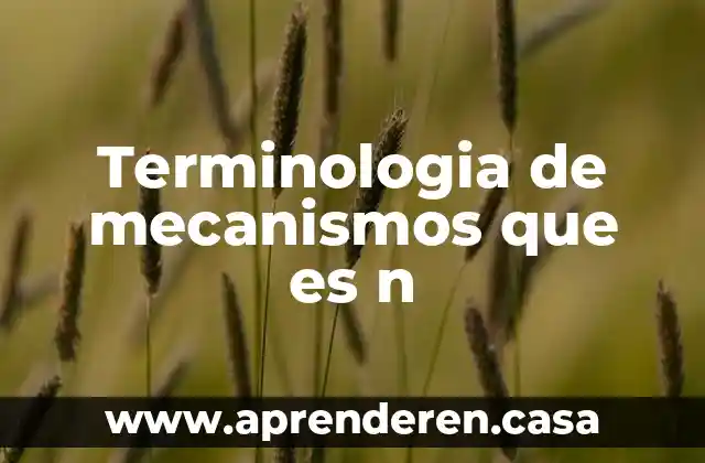 Qué es la terminología y conceptos básicos 5 Terminologia de mecanismos que es n