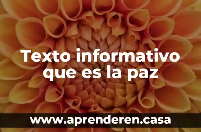 Texto informativo que es la paz
