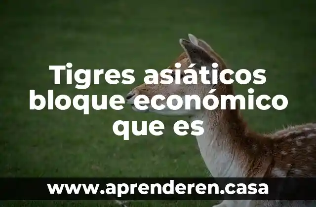 Tigres asiáticos bloque económico que es