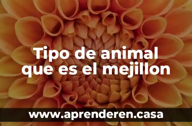 Qué es un animal carnívoro ejemplos 3 Tipo de animal que es el mejillon