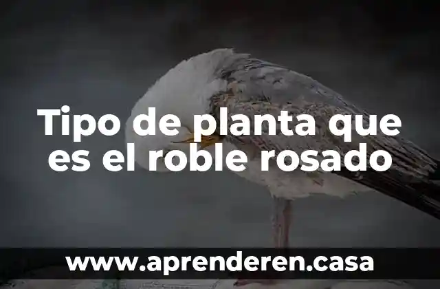 Tipo de planta que es el roble rosado