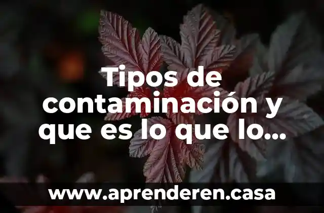 Tipos de contaminación y que es lo que lo causa