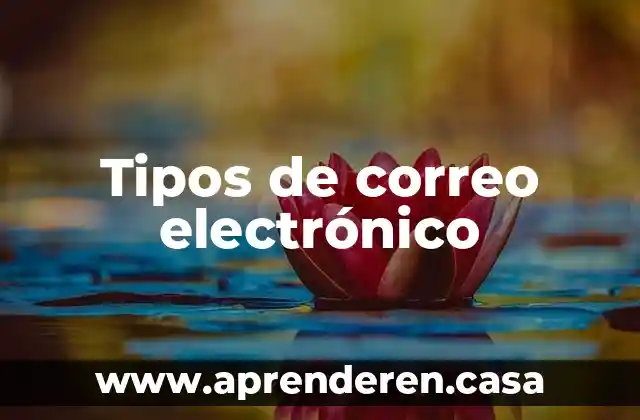 Tipos de correo electrónico