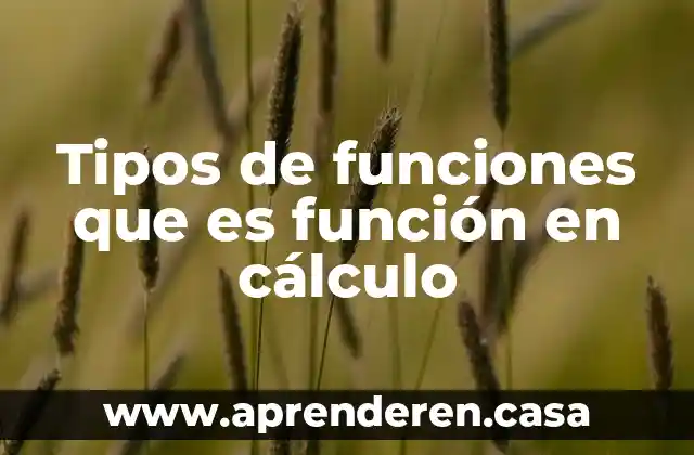 Tipos de funciones que es función en cálculo