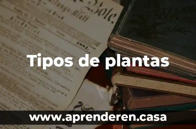 Tipos de plantas
