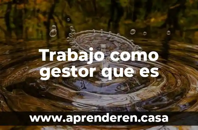 Trabajo como gestor que es