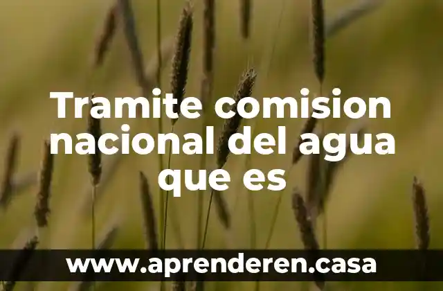 Tramite comision nacional del agua que es