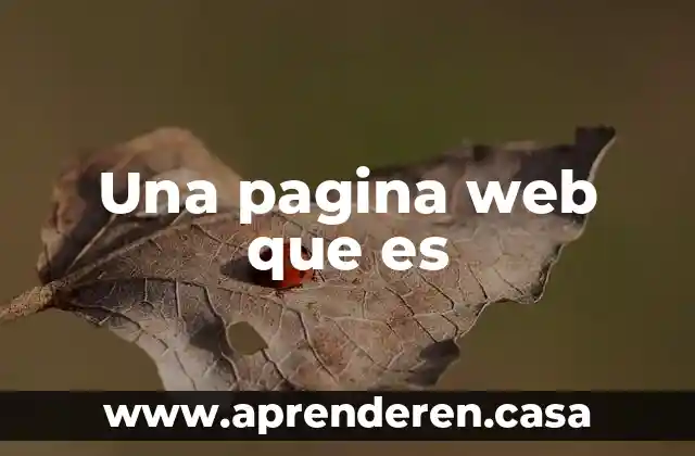 Una pagina web que es