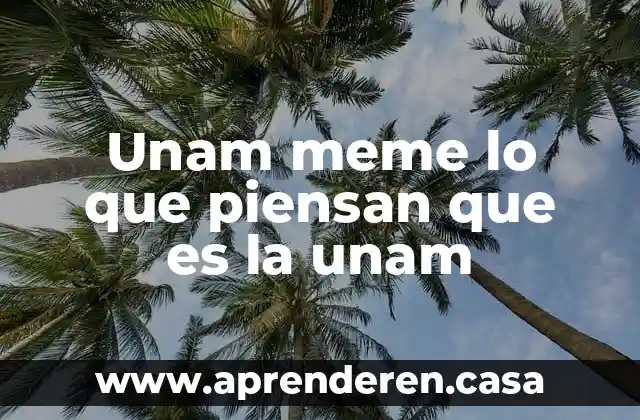 Turistas se confunden y piensan que es una obra 3 Unam meme lo que piensan que es la unam