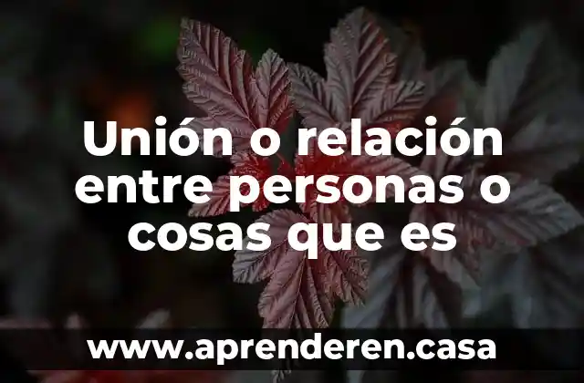 Unión o relación entre personas o cosas que es