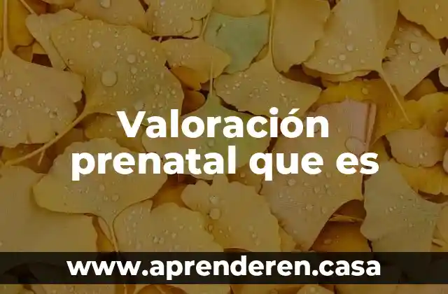 Valoración prenatal que es