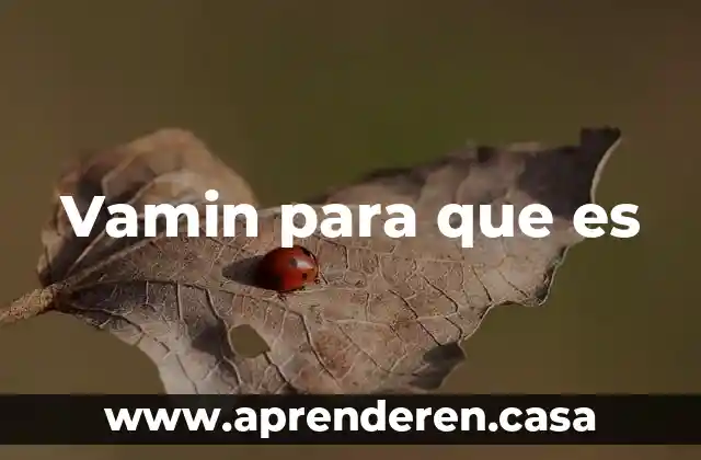 Vamin para que es
