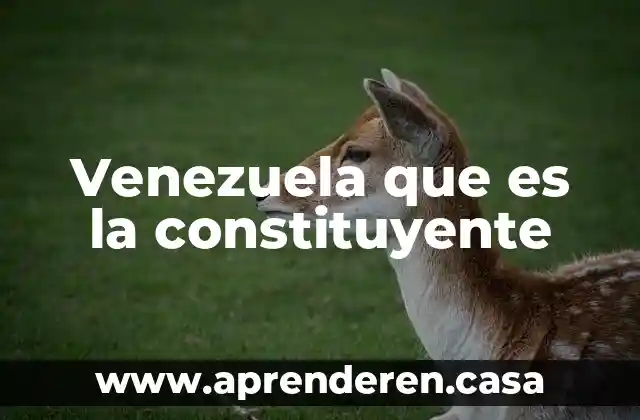 Que es prueba constituyente en el proceso civil 6 Venezuela que es la constituyente