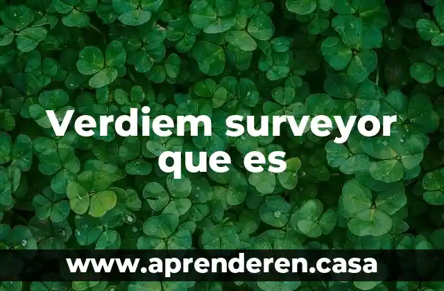 Verdiem surveyor que es