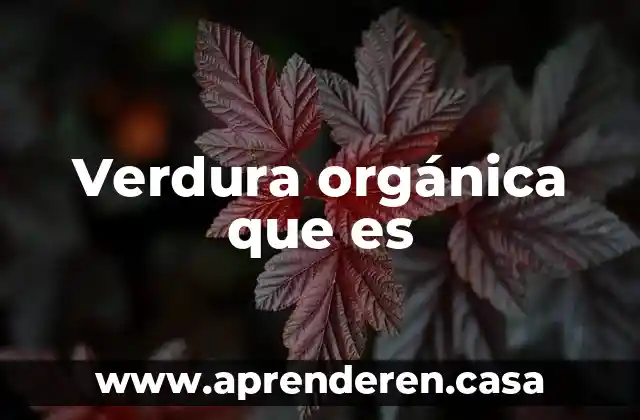 Qué es el éter en química orgánica 6 Verdura orgánica que es