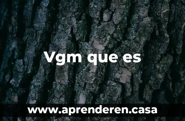 Vgm que es