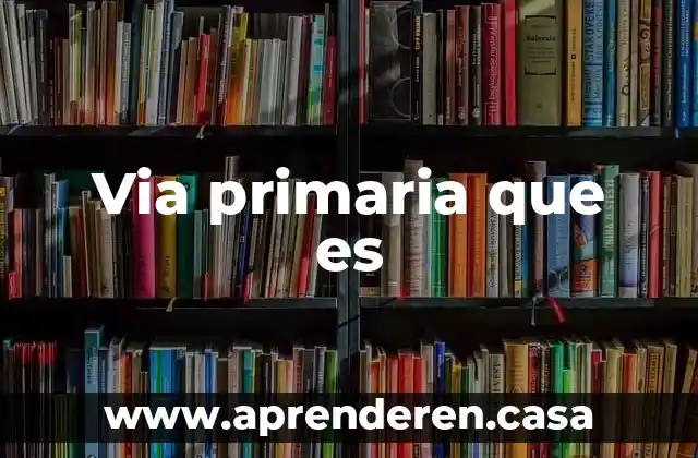 Via primaria que es