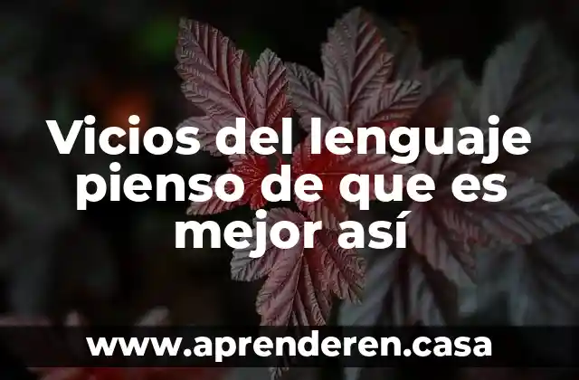Vicios del lenguaje pienso de que es mejor así