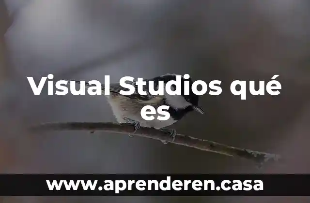Visual Studios qué es