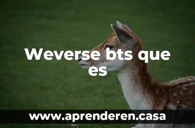 Weverse bts que es