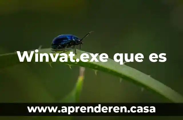 Qué es un procesador AMD A4 3 Winvat.exe que es