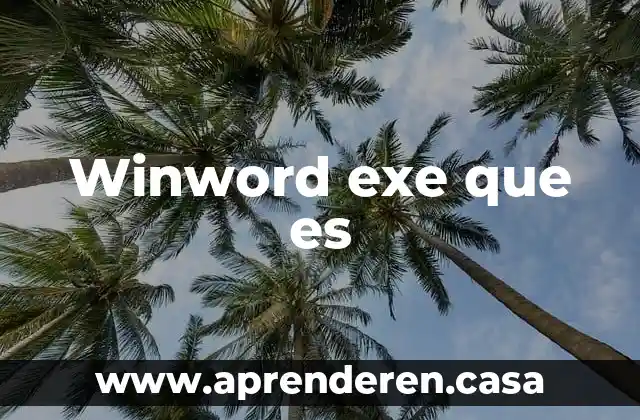 Winword exe que es