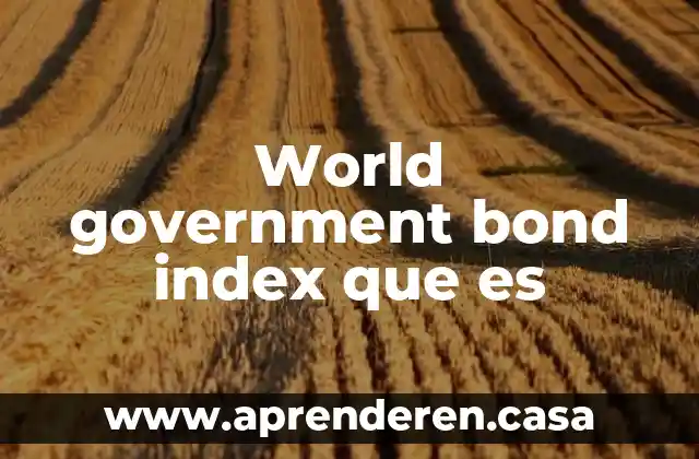 World doh war que es 5 World government bond index que es