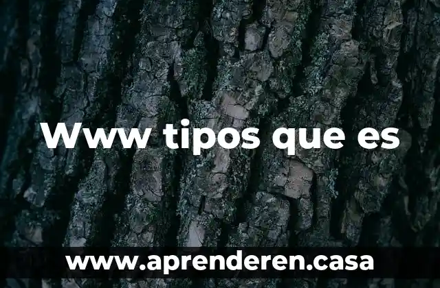Www tipos que es