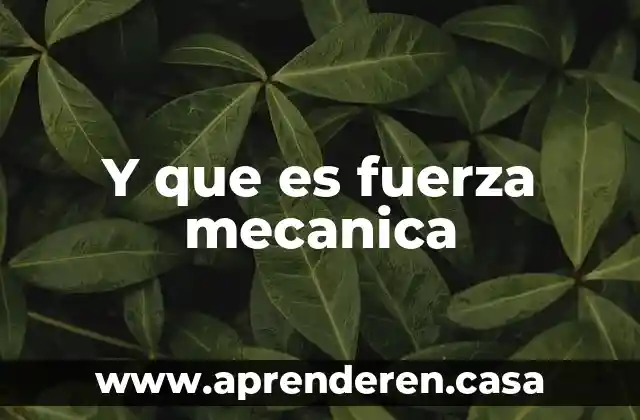 Qué es una parafrasis mecánica y constructiva 4 Y que es fuerza mecanica