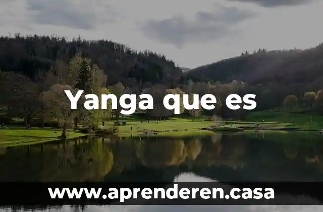 Yanga que es