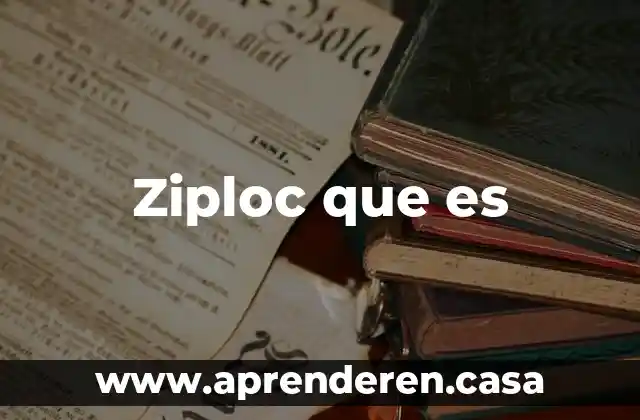 Ziploc que es